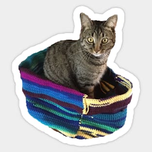 Kitty in a Basket Sticker
